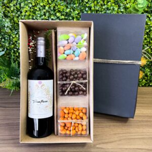 KIT VINHO CHILENO TERRA PURA